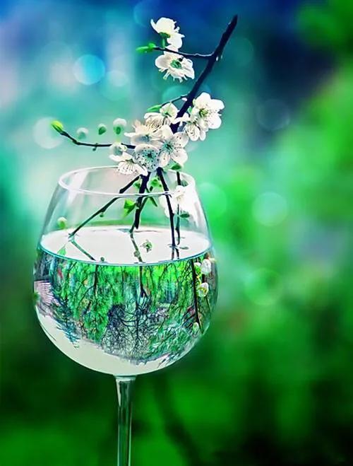 假如生命只剩最后一天,假如我的生命只剩三天作文