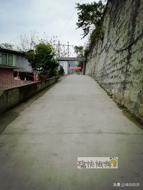 自贡桃花山学校,2014年自贡市桃花山学校