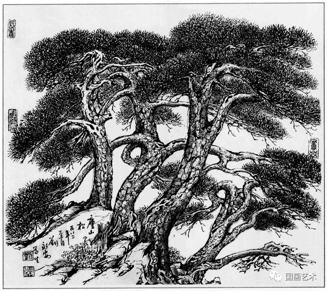 日式线描松树波浪纹,深度线描儿童画松树