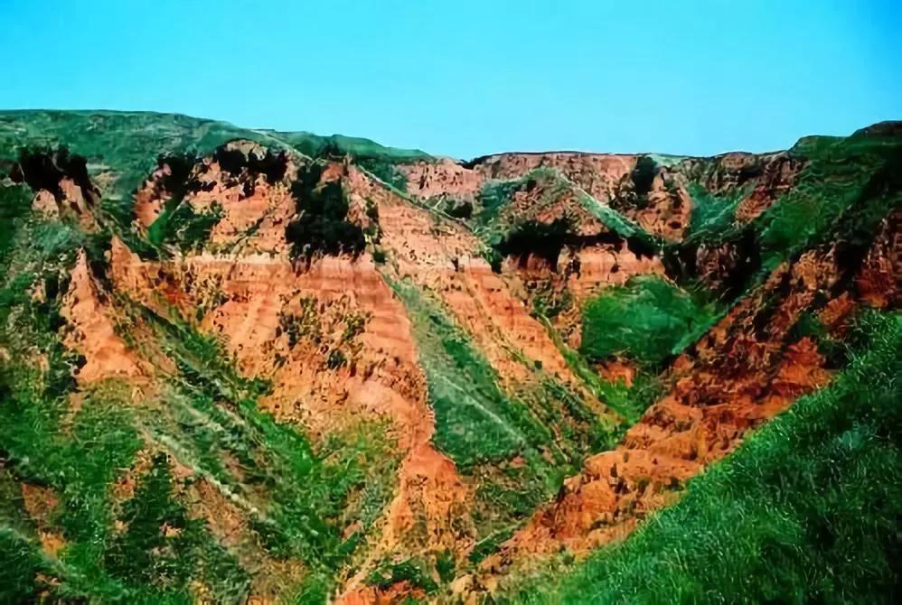 中国快递之快让全世界都惊呆了,中国桥梁为何惊呆了全世界