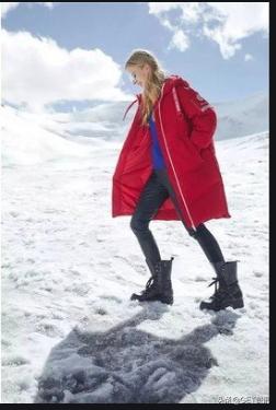 加拿大鹅真的有波司登好吗,波司登赶超加拿大鹅