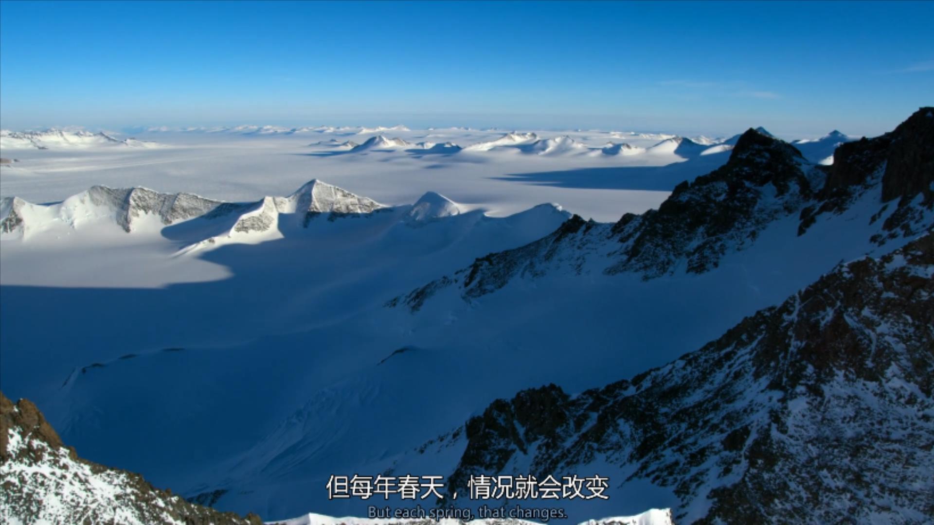 大过年的，被这些小萌萌给笑掉了头