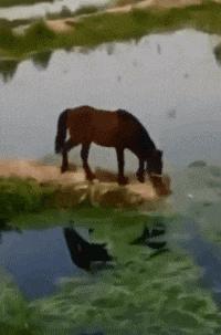 开心搞笑视频小哥哥,小哥哥搞笑视频gif