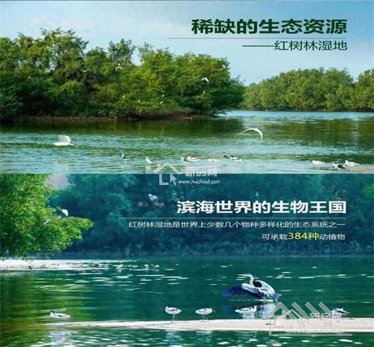 惠州最有发展潜力的地段,惠州深圳哪个有发展前途