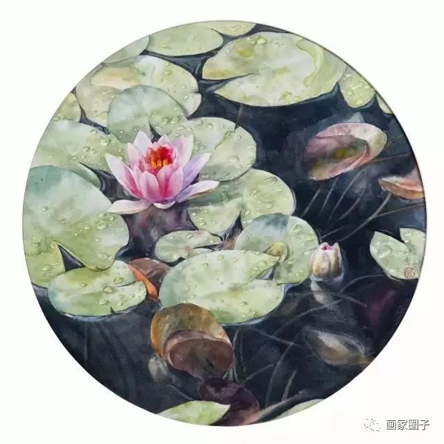 100种漂亮花卉图片,100张漂亮花图