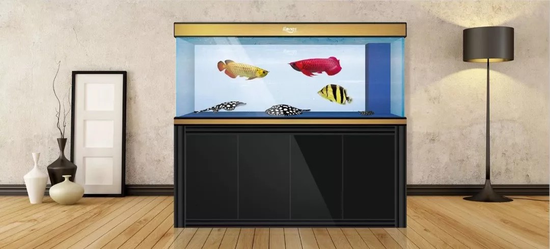 鱼缸店内摆放位置风水图,店里鱼缸摆放位置风水图