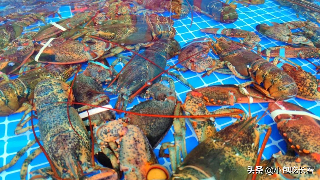 住邦夜市开了吗,住邦夜市在哪