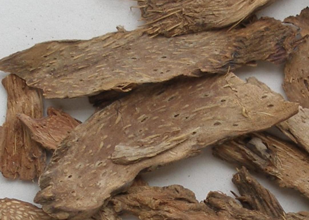 1种“杂草”，生于山坡下，以往叫它“千年健”，根茎值钱、珍贵