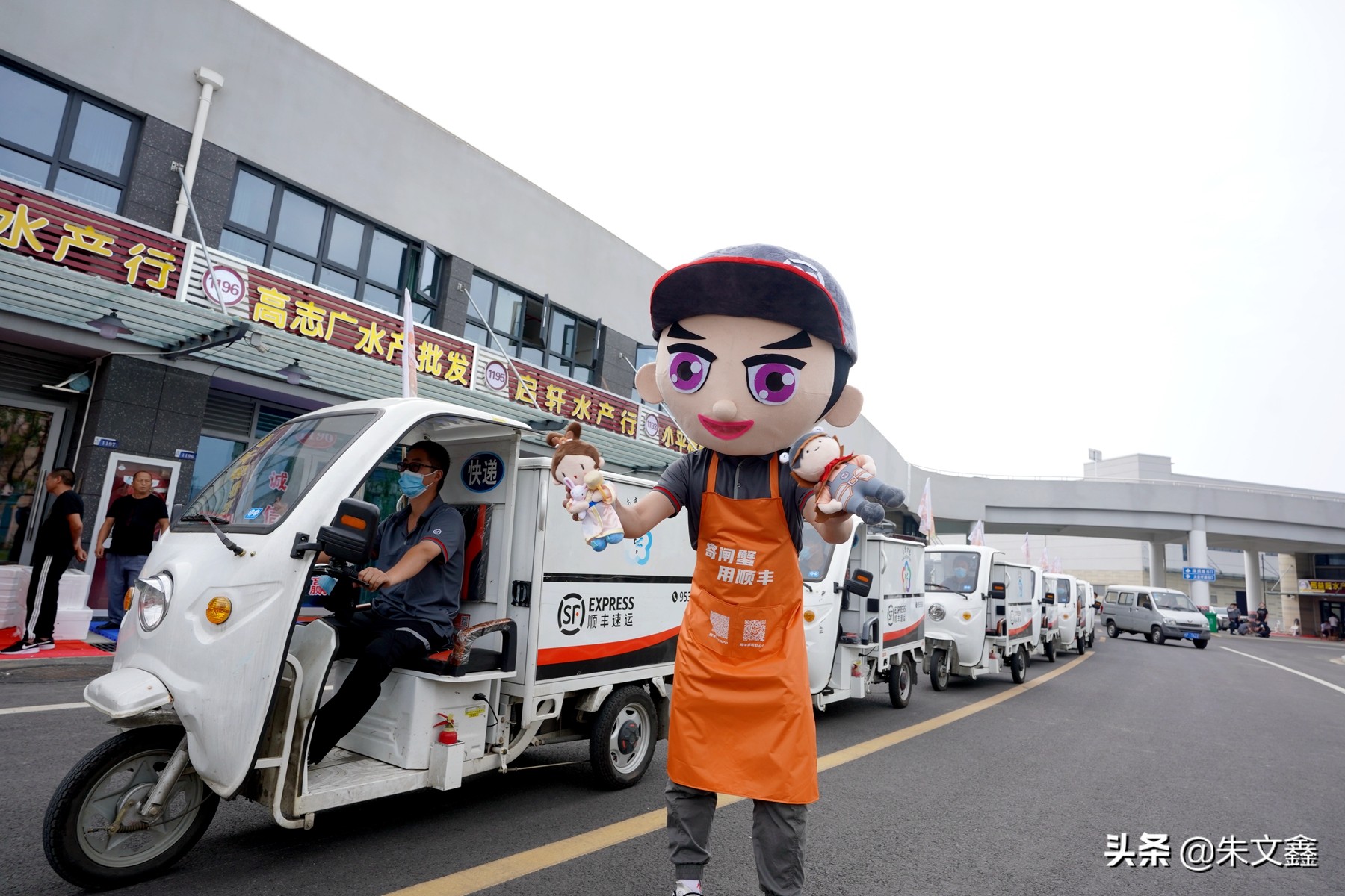 南京固城湖螃蟹市场在什么路上,南京固城湖螃蟹推介会举行