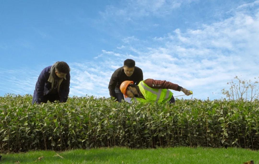 余杭区抓好“三个融合”高起点高标准推进“四好农村路”建设