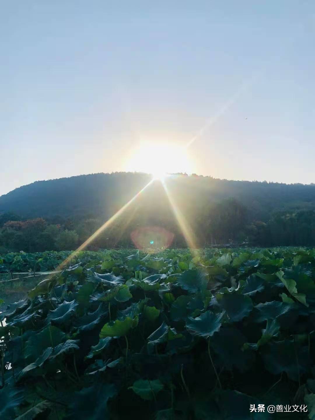 云中吟游玩攻略,云中吟系列所有人物