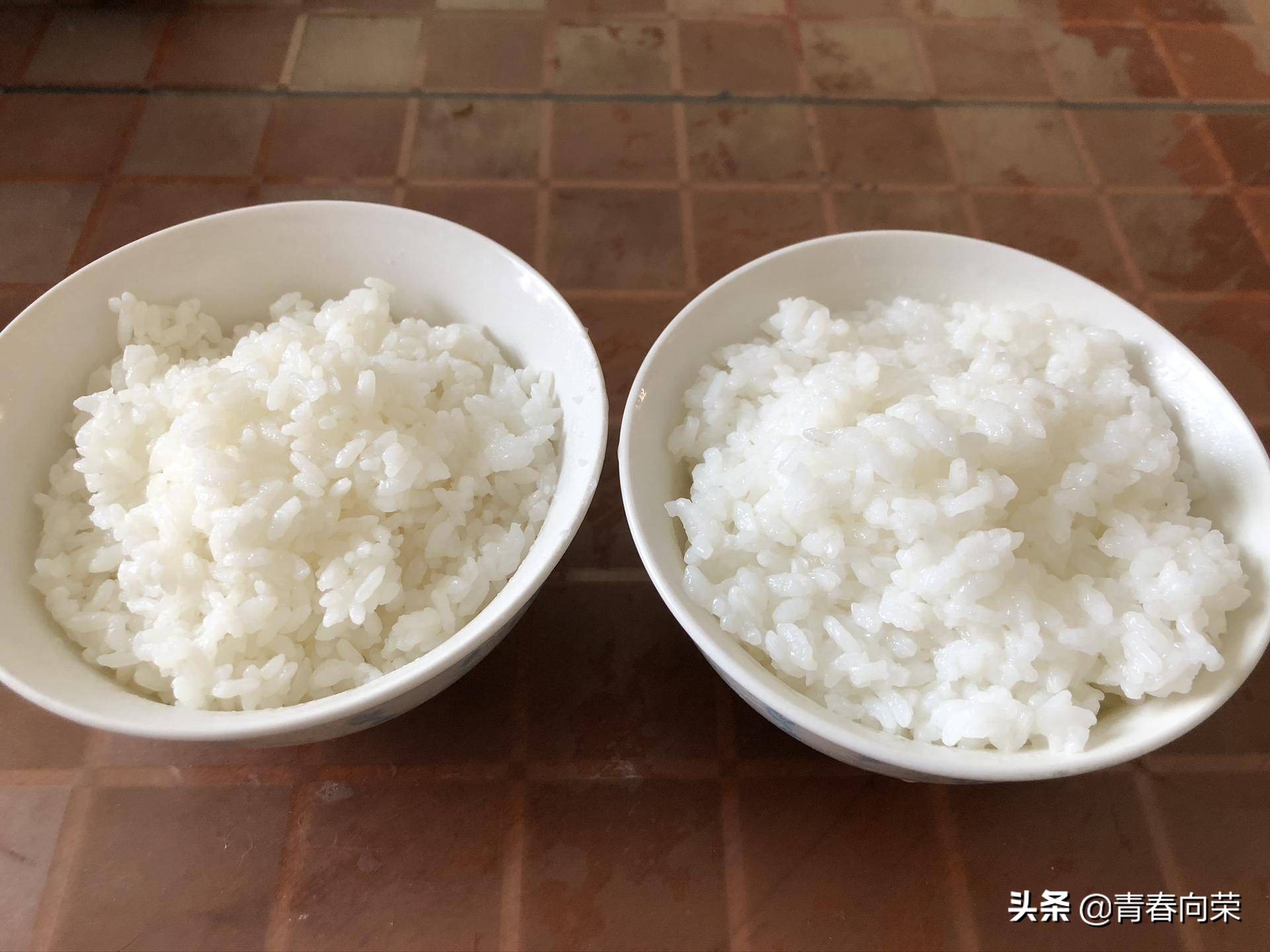 央视降糖电饭煲测评,脱糖电饭煲真的好用吗