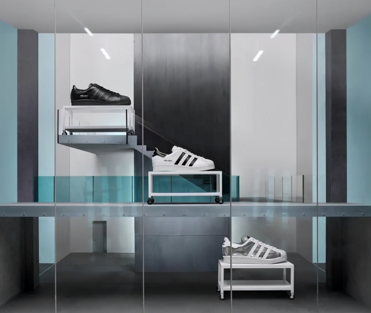 贝壳头又要抢钱了！这次又是明星又是彩虹，真真是招架不住