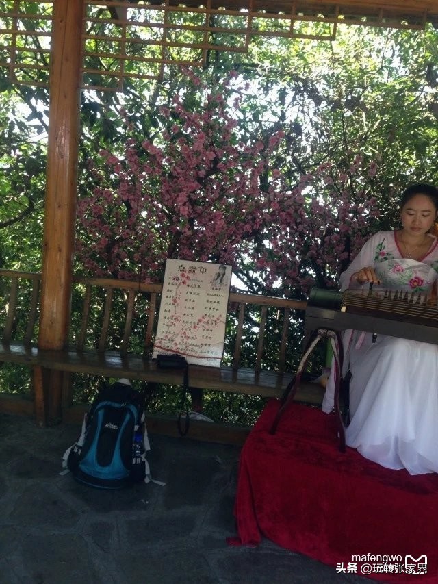 张家界天门山旅行路线攻略三日游,十一到张家界天门山旅游攻略图文