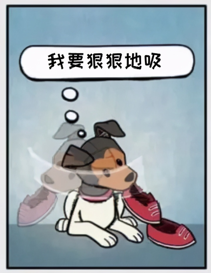 铲屎官和狗子的漫画,铲屎官和狗子们漫画