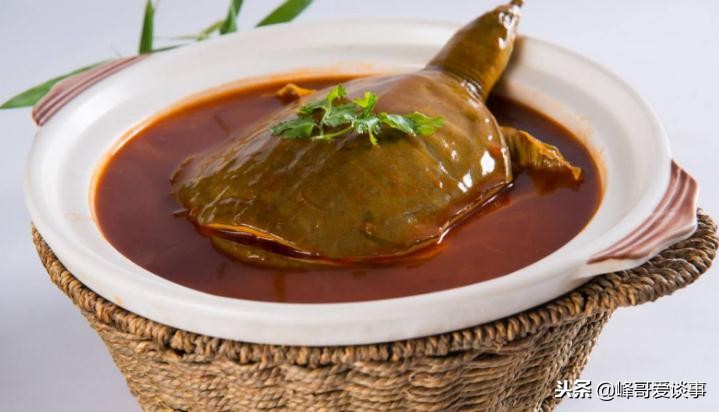 红烧甲鱼和鸡最正宗的做法,甲鱼的做法大全最好吃