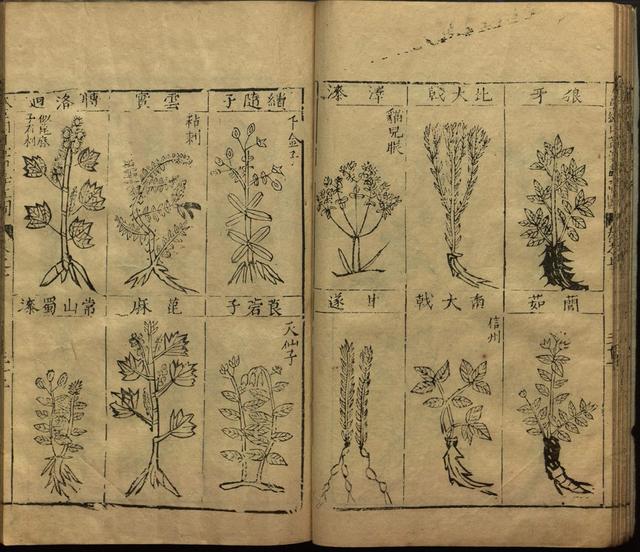 李时珍与本草纲目ppt课件,神农本草经正版李时珍书籍