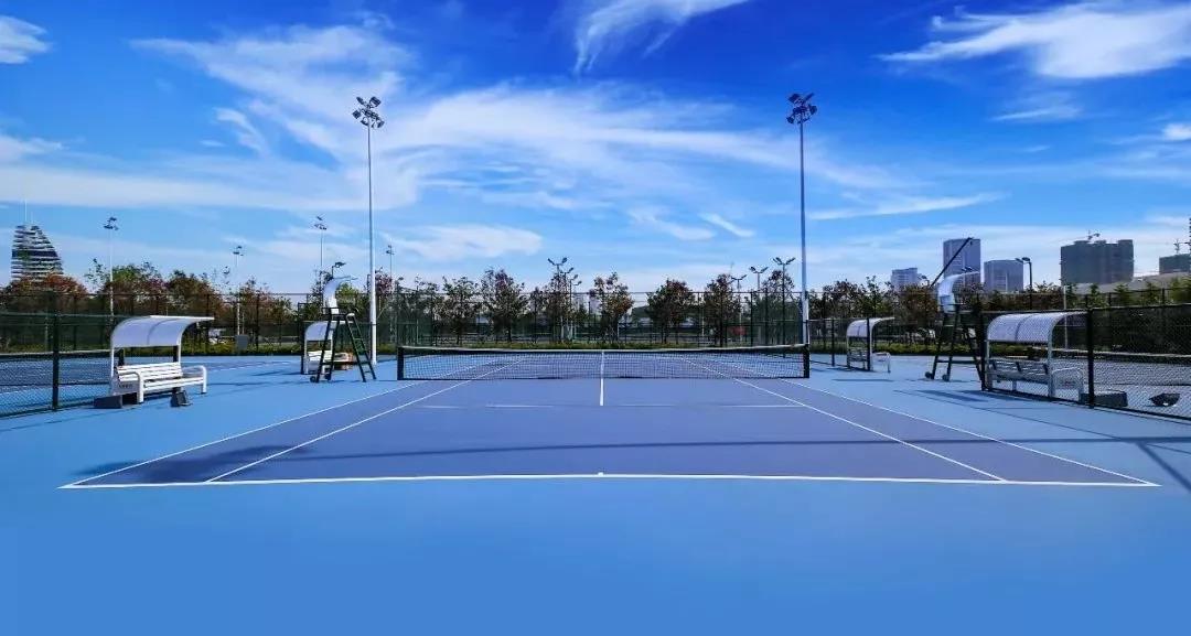 生命的色彩的简谱,生命的色彩精彩视频