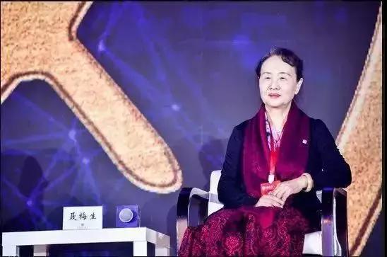 聂梅生评价房地产,全联房地产聂梅生