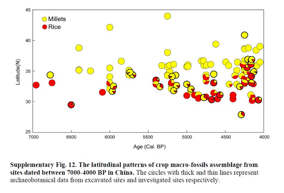 殷墟甲骨文折射商代祭祖文化,殷墟古人样本