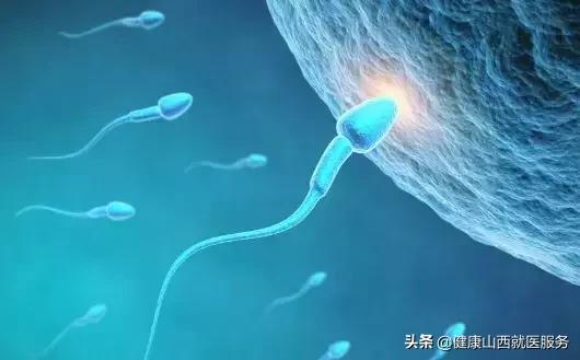 精子死精成活率低应怎么调理,精子是活的还是死的怎么判别