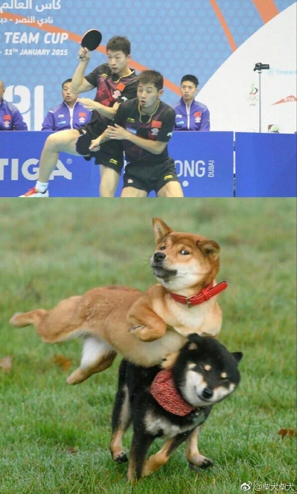 搞笑：黑客：遇到高手了，我刚刚进去就被T出来了