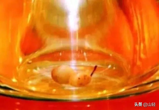 舍利子到底是怎么形成的,得道高僧死后为什么有舍利子