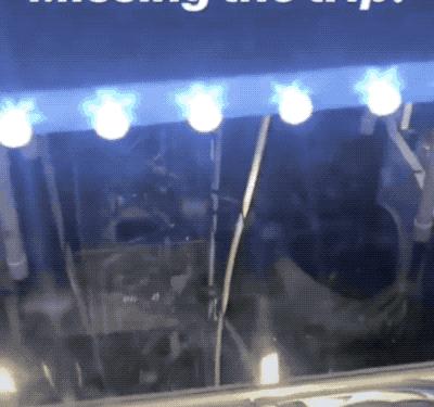 周杰伦新歌为什么没以前好听,周杰伦的新歌真的那么好听吗