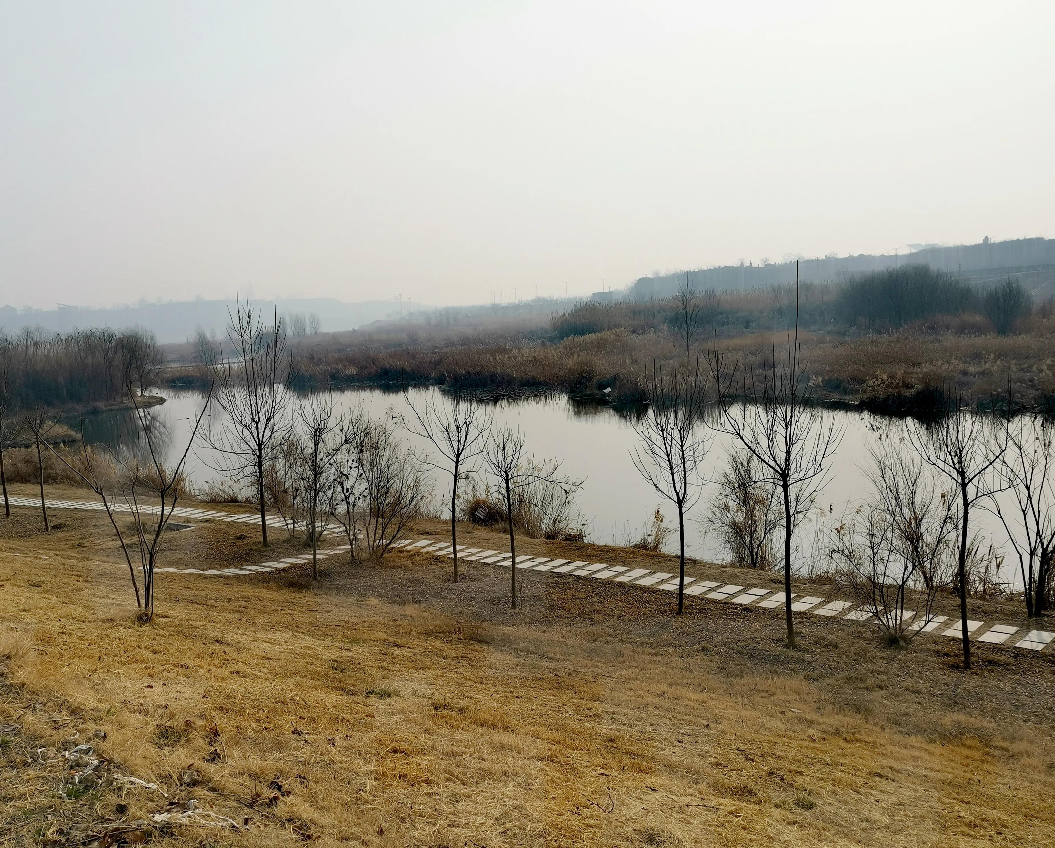大年初一逛栎阳湖湿地公园，柳色遥看近吐绿，春归石川河！