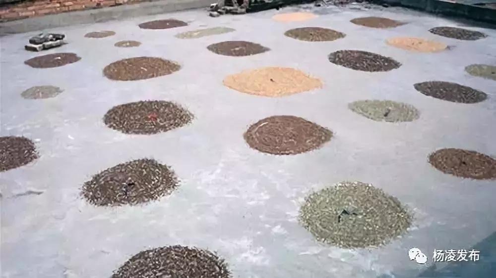 农林科技大学创业项目,农科类创新创业大赛