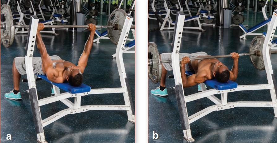 力量训练一周6练训练计划,一天练三个部位的力量训练