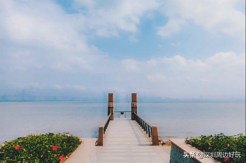 深圳白天游玩公园景点推荐,深圳红树林公园日落