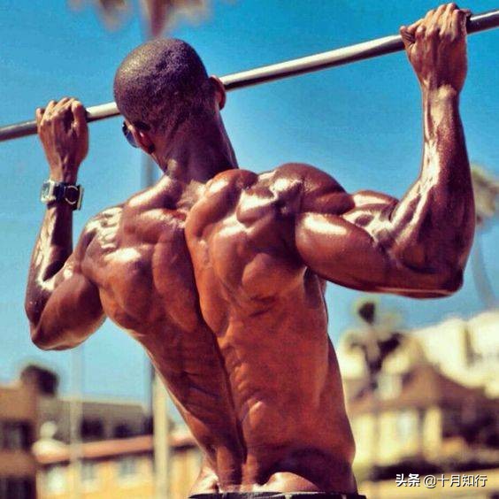 怎么锻炼让肩膀背部更好看,七分钟肩膀背部训练方法