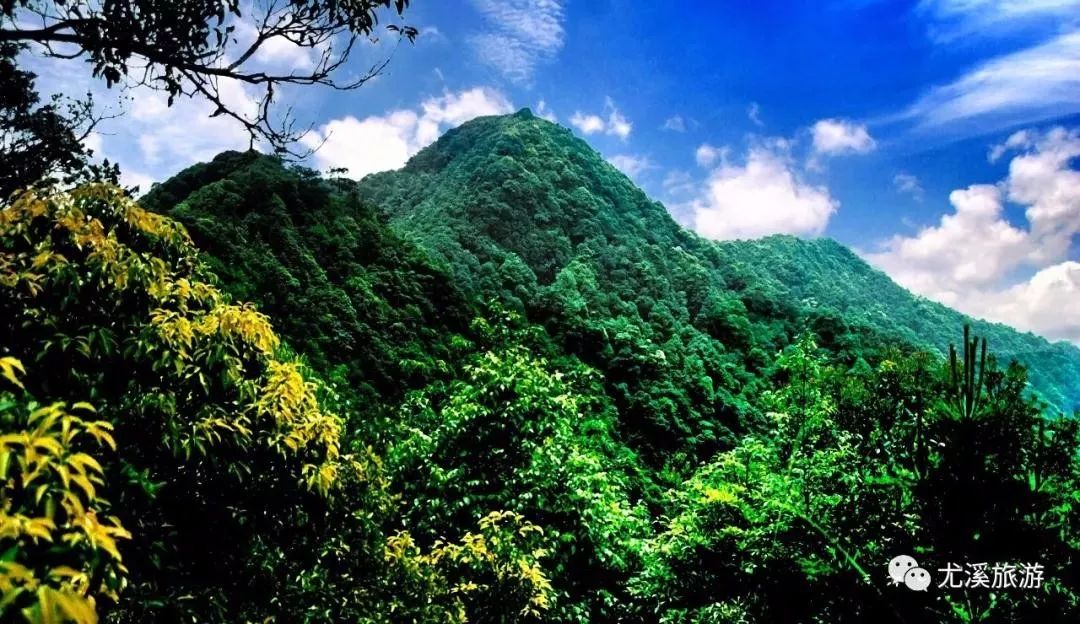 福建五一适合去哪旅游最合适,福建10大景点自由行攻略