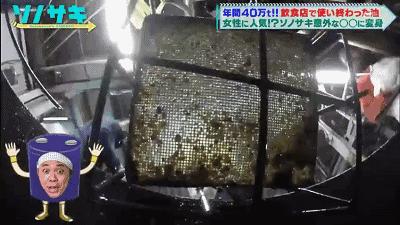 日本开发地沟油的历史,地沟油起源日本