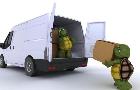 kawa集运国际快递,kawa集运的服务怎么样