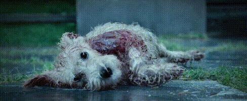 复仇方式电影,最狠的复仇方式电影