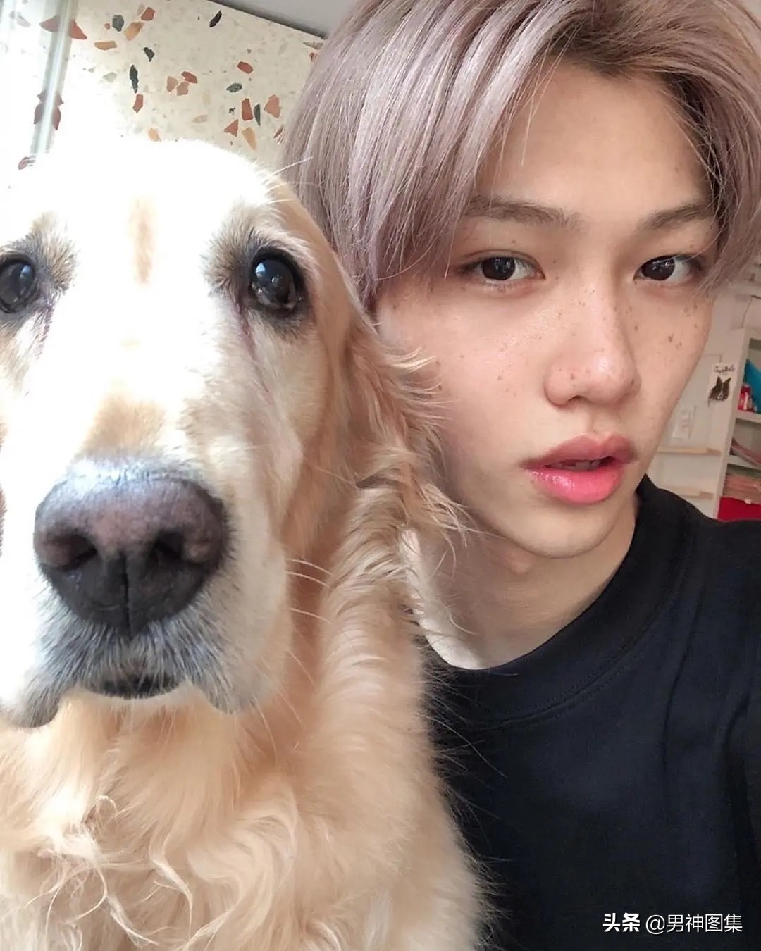 全球最帅一百人前十名,全球最帅50人