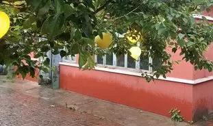 鞍山适合冬天聚餐的农家院,鞍山特点农家院推荐