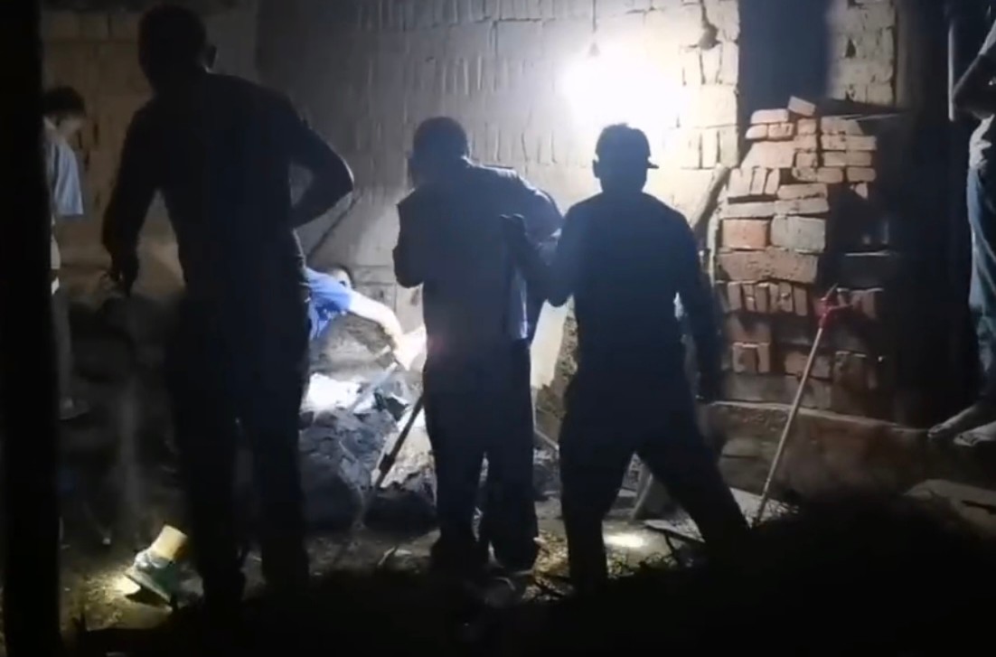 眼镜王蛇有多厉害？如果把它放到非洲会怎样，还能不能称霸一方？