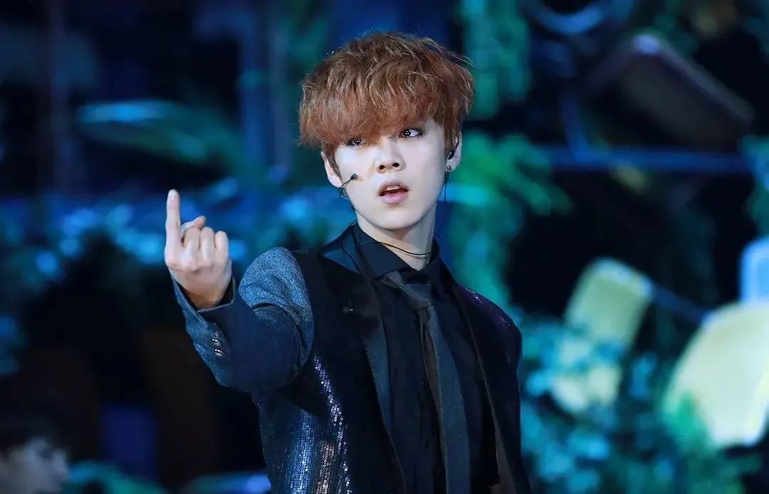 鹿晗赵彬彬评价,赵彬彬和鹿晗是什么关系