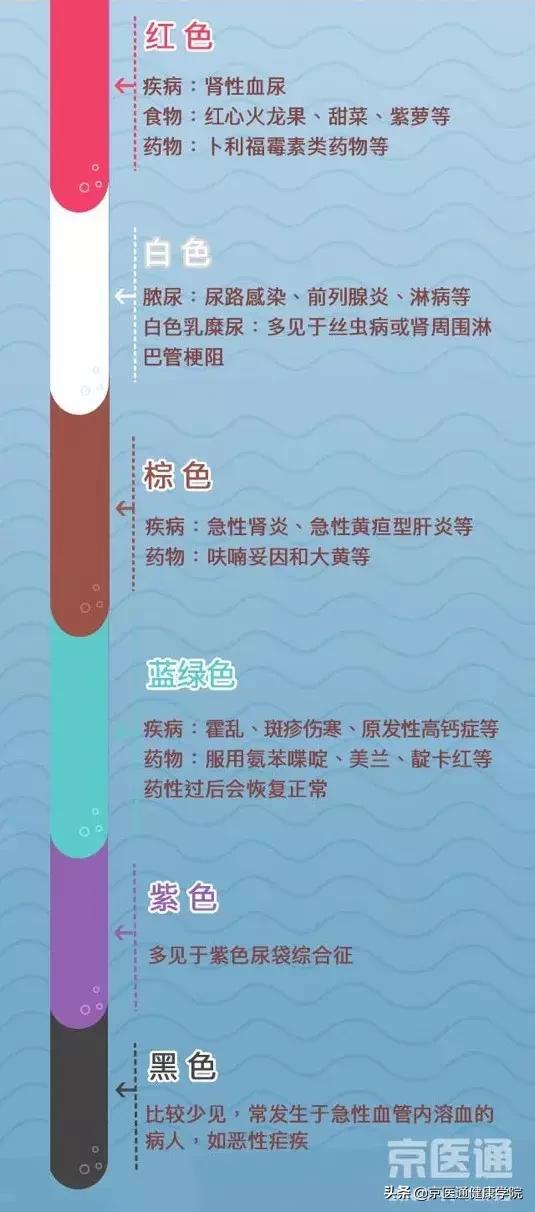 肾内科医生能看懂尿常规吗,肾内科专题报告