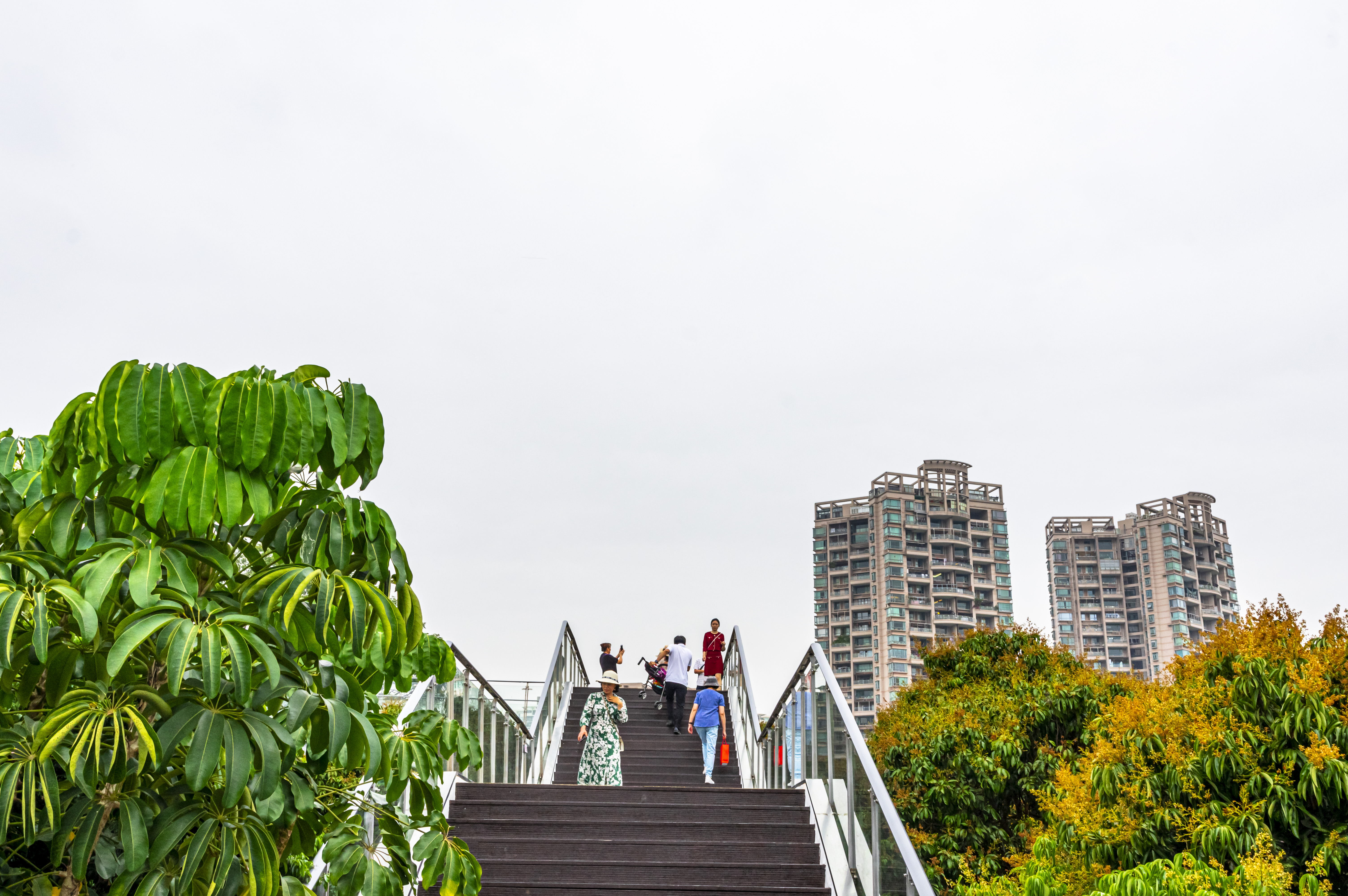 深圳10个最具怀念价值公园,深圳10大公园排名榜单最新公布