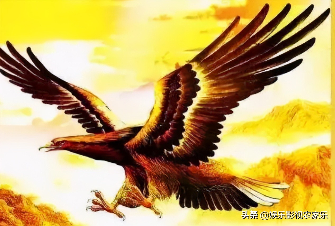 大鹏为什么总演一些屌丝,大鹏为什么不拍屌丝男士了