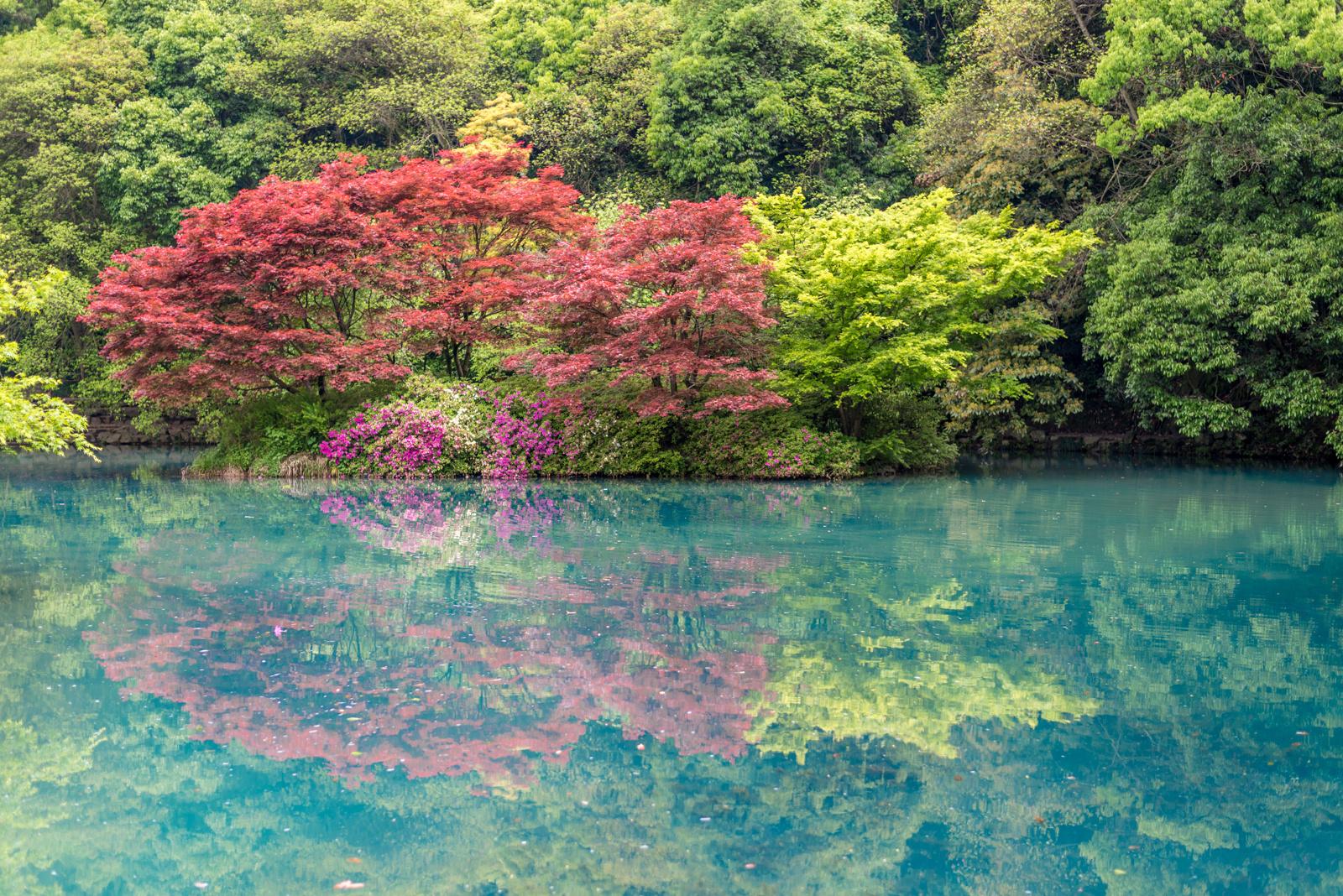 杭州新鸿基江河汇超级地标,杭州十大必去的夜景打卡点免费