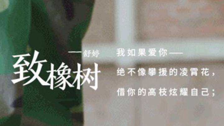 致橡树邀你合拍朗诵,致橡树并肩而行朗诵视频