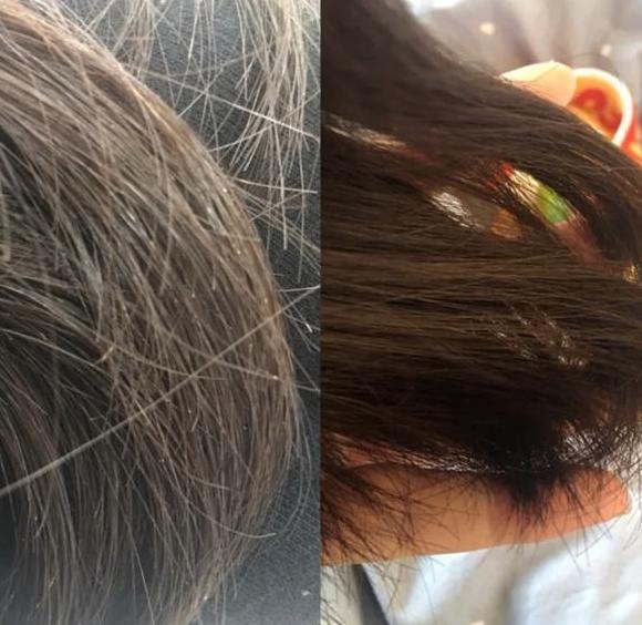 理发店的洗发水都是从哪来的，为什么超市买不到？看完知其猫腻