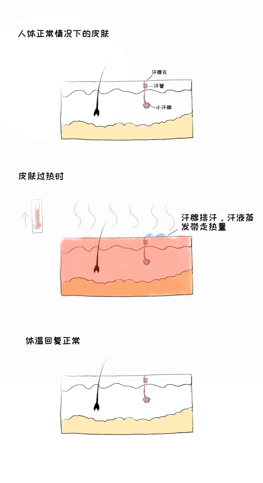 夏天到了宝宝如何防蚊,夏天到了怎么防蚊