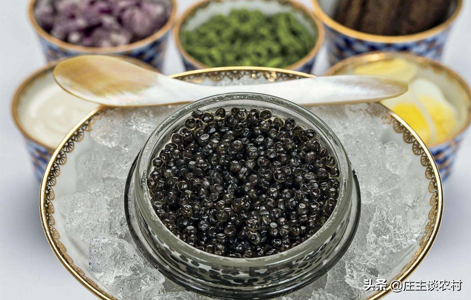 十大顶级土豪食材,世界最昂贵的十大食材排行榜