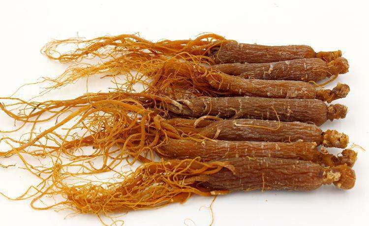 生活百科：高丽参的功效、高丽参的作用、高丽参的副作用